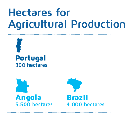 Hectares for Agricultural Production