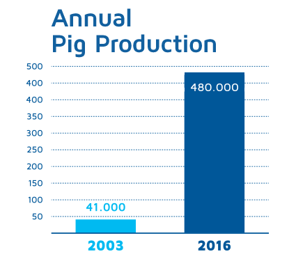 Annual Pig Production